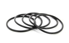 O-ring (5x) for waterfilter FTR330 (5x)