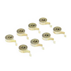 Set: Carbon brush (8x) springs BOW55/60/75 Set  