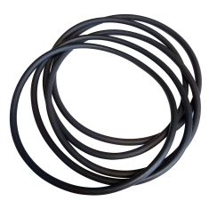 O-ring for for water filter 1320 -  (5x)